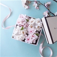 2種の桜ボックスフラワー7