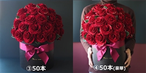 50薔薇2